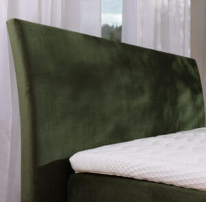 Vzglavna stranica Eltea